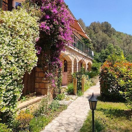 Un Brin De Paille Villa Cagnes-sur-Mer Eksteriør bilde