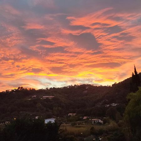Un Brin De Paille Villa Cagnes-sur-Mer Eksteriør bilde