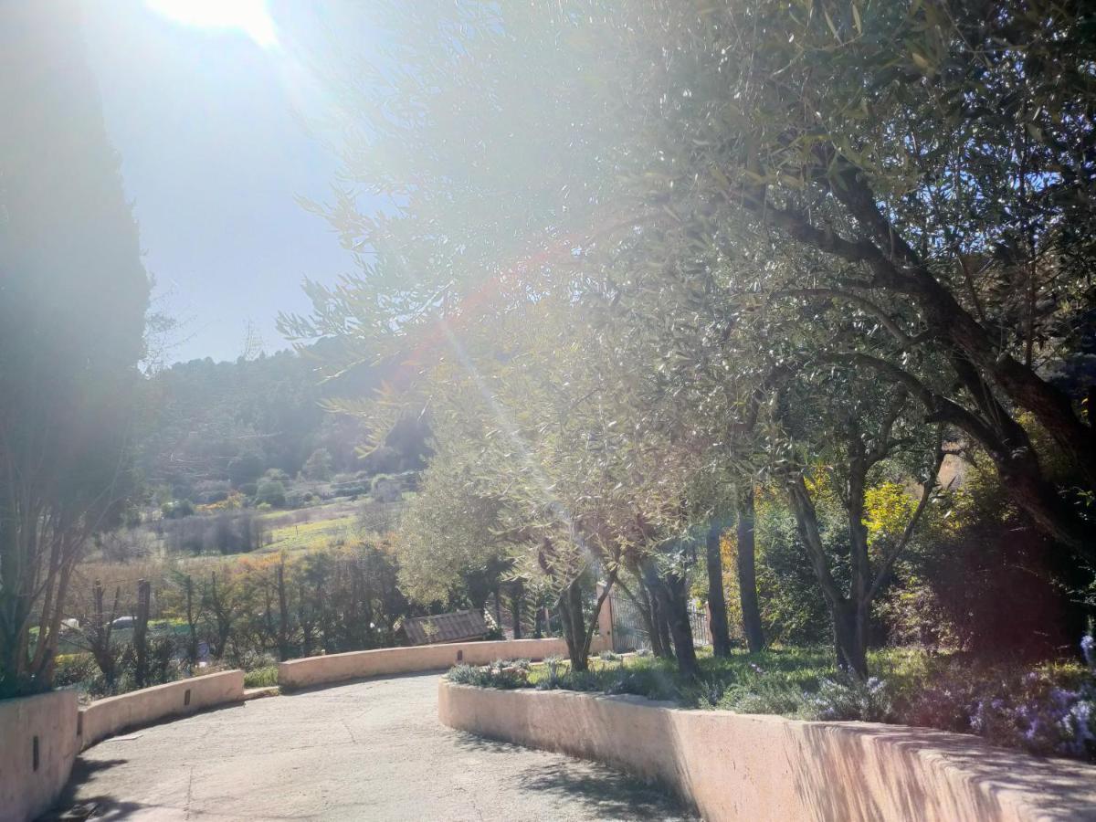 Un Brin De Paille Villa Cagnes-sur-Mer Eksteriør bilde