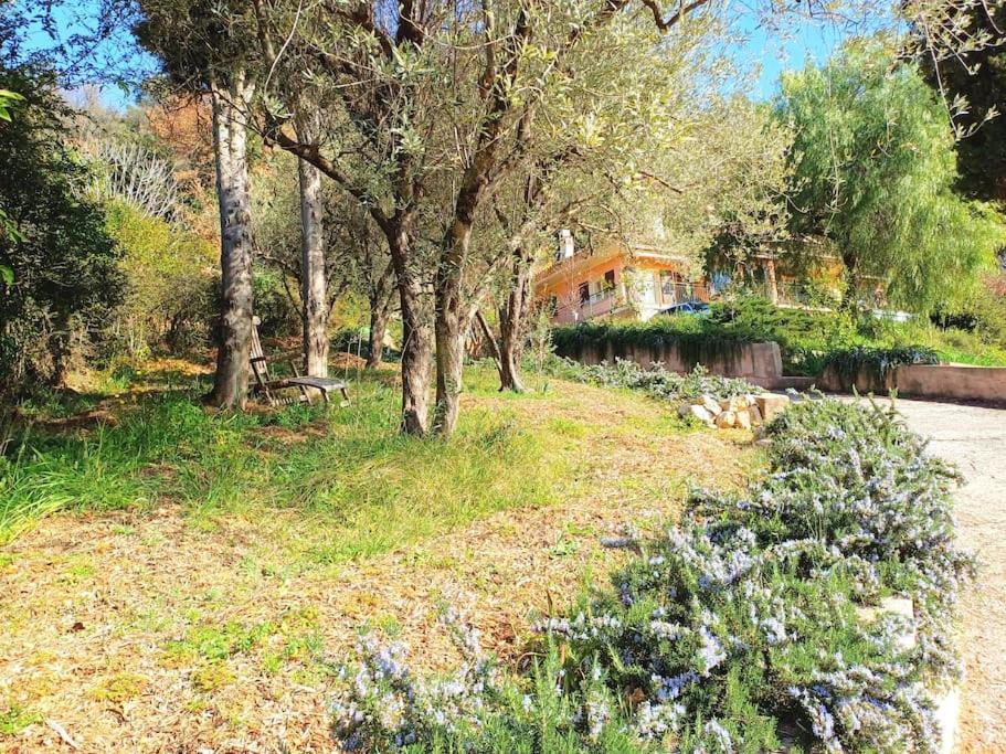 Un Brin De Paille Villa Cagnes-sur-Mer Eksteriør bilde