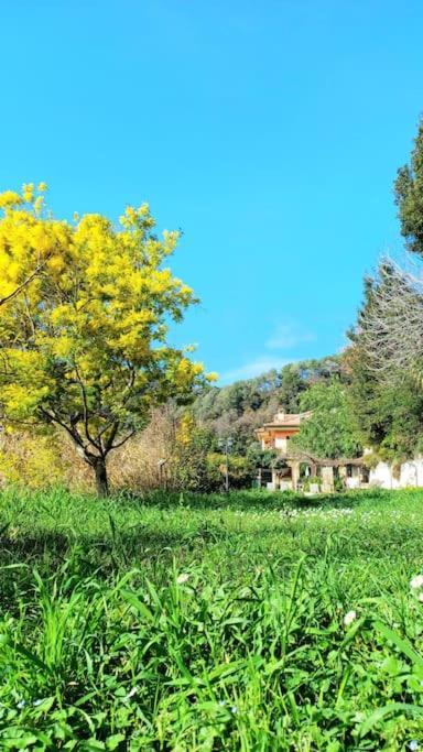 Un Brin De Paille Villa Cagnes-sur-Mer Rom bilde